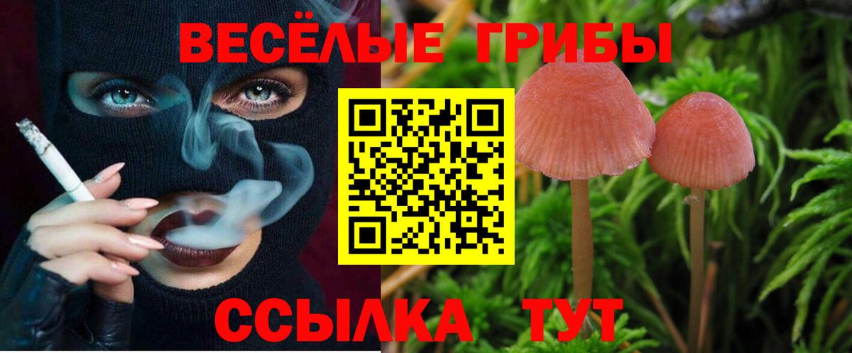 Галлюциногенные грибы мицелий  Вход с VPN  Истра 