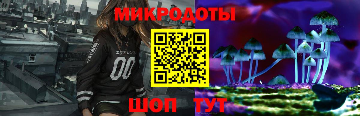 Псилоцибиновые грибы мицелий Истра
